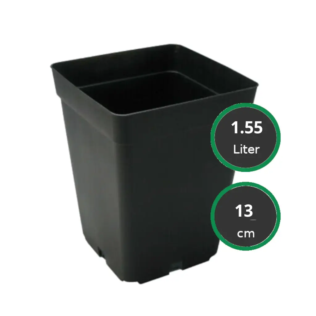 Vierkant Töpfe 13x13x13 cm - 1.55ltr.