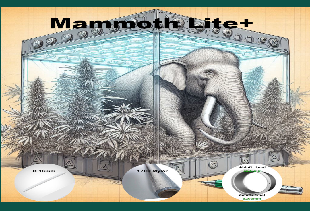 Mammoth lite+