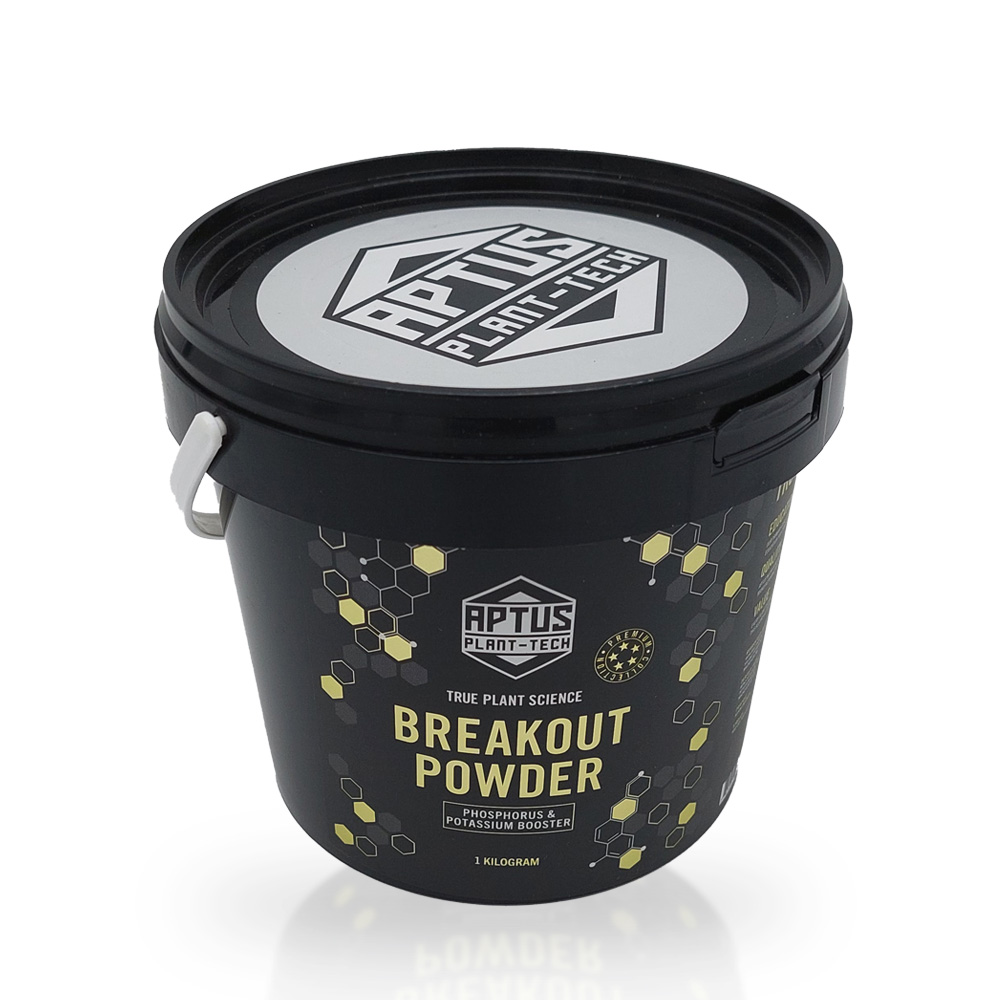Aptus - Breakout Powder, 1Kg aptus-Breakout-powder-1-kg-bischofbergergardening.ch