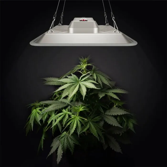 80w-greenception-gc-pure2 4 bischofbergergardening.ch