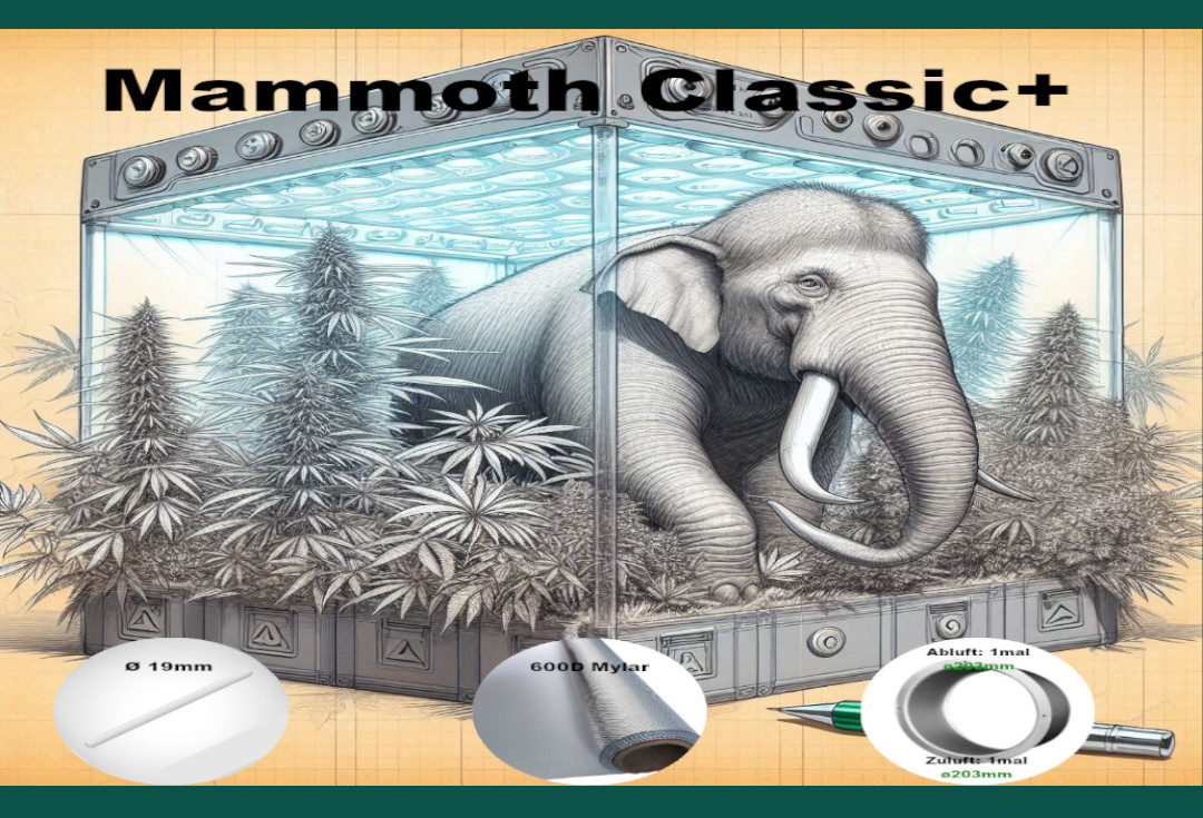 Mammoth Classic+ bischofbergergardening.ch