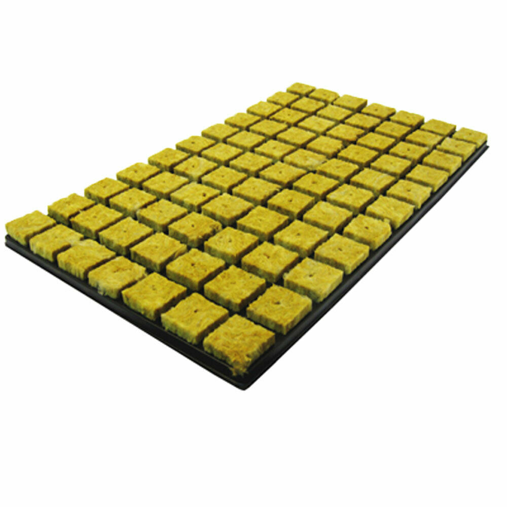 Stecklings-Tray, 35 x 35 mm, 77 stk. (Steinwolle)
