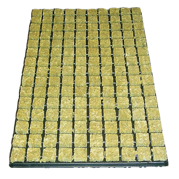 Stecklings-Tray, 25 x 25 mm, 150 stk. (Steinwolle)