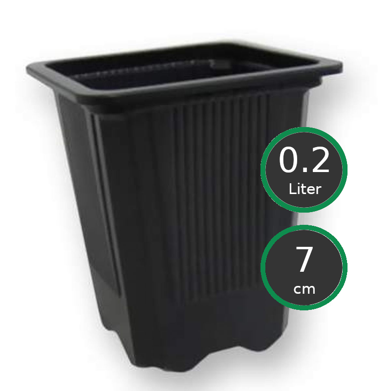 Vierkant Töpfe 7x7x8 cm, 0.2 ltr.